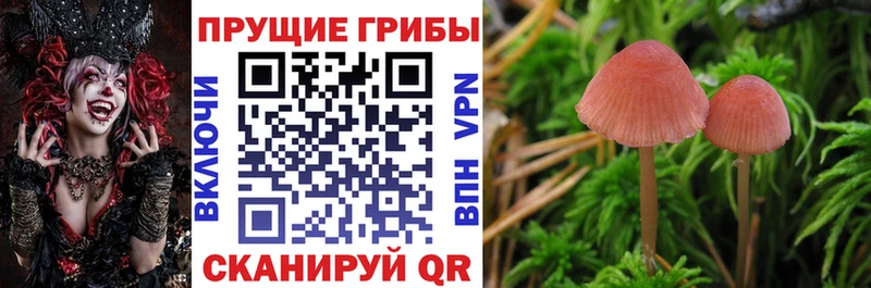 Псилоцибиновые грибы мухоморы Елизаветинская